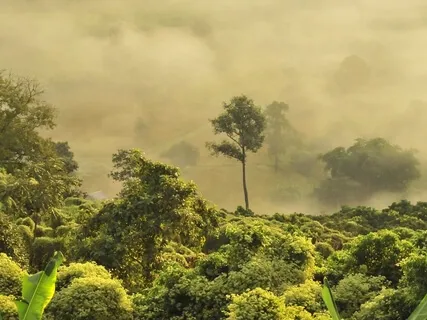 Hang Pan & Piano Contemplation