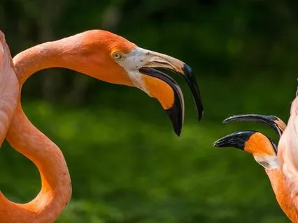 Hang Drum In The Space