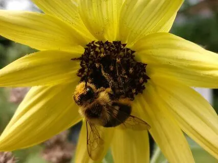 Hang On..The Pain Is Temporary