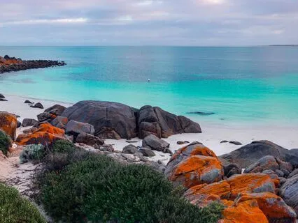 Hangdrum & Native Flute | Harmonies Of The Earth