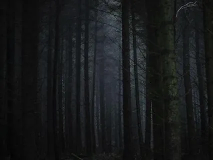 Hansel & Gretel: A Somatic Exploration For Adults