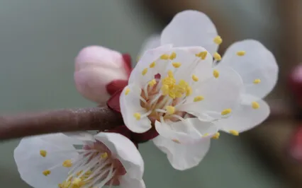 Happily Hopefully: Music For Movement & Positivity