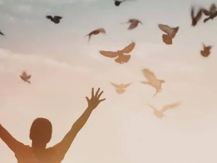 Happiness #3 The Release Ceremony