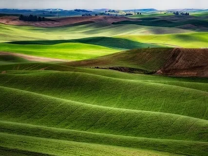 Looking Inward For Happiness