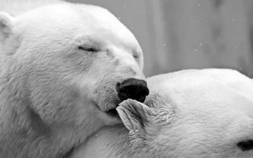 Happiness Affirmations For Your Children