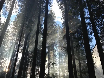 Happiness & Connection