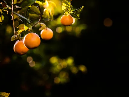 Happiness & Contentment Guided Sleep Practice