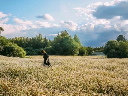 Happiness Calm: Music To Soothe Stress