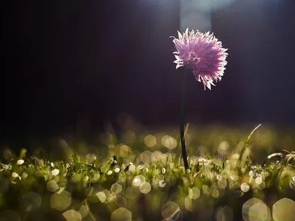 Happiness, Desire, And Affirmations