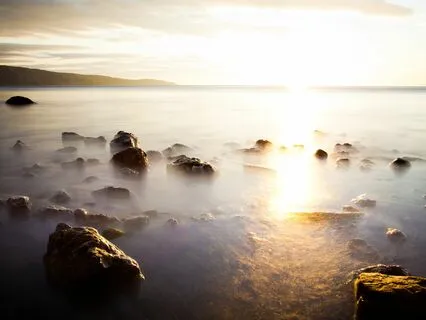 Happiness Harmony: Stress-Free Melodies