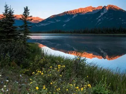 Happiness Horizon: Escape Stress