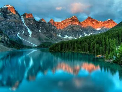 Happiness In Stillness: Stress Relief Melodies