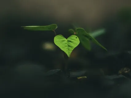 Happiness Is A Full-Time Job!