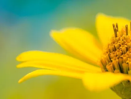 Happiness Is A Mindset