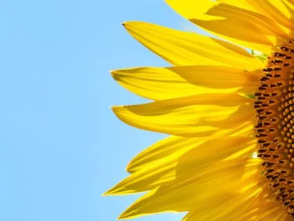 Happiness Is The Intimacy Of Being