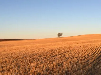 The Quiet Mind: Discovering Happiness As Our Natural State