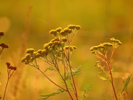 Happiness Is Something You Remember