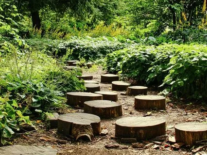 Happiness Meditation