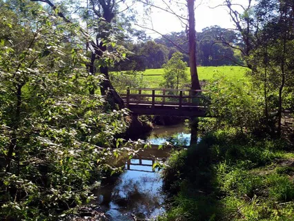 Happiness Meditation to Deeply Relax