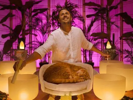 Happiness Sound Bath (Positive Energy Only)