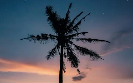 Happiness Vibes 777Hz