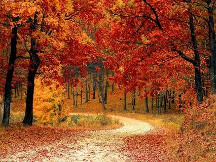 Happiness Within: Self-Healing Exploration