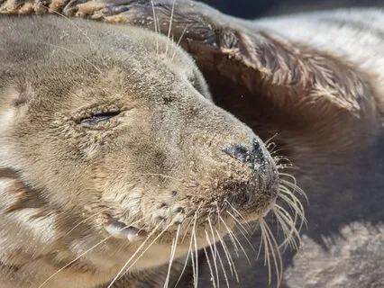 Happiness Without A Hangover