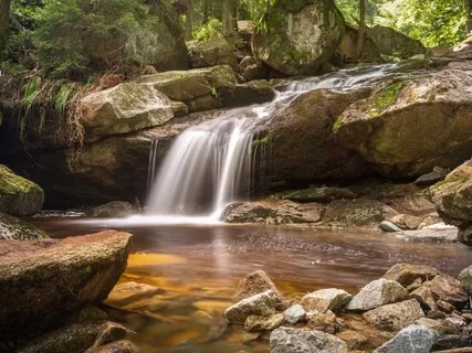Happy And Free Beginners Meditation