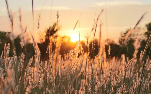 Happy - Calming & Uplifting Chimes Sound Healing