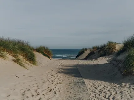 Happy Day (Día Feliz)