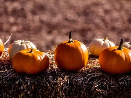 Happy Halloween! Don't Let Your Fears Spook You!