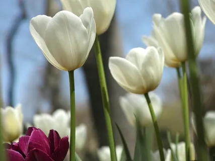 Happy(ier) You - Weekly Energy Boost