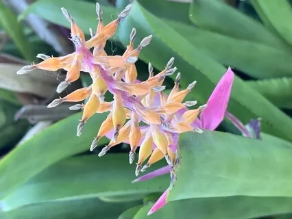 Happy, Joyous, And Free