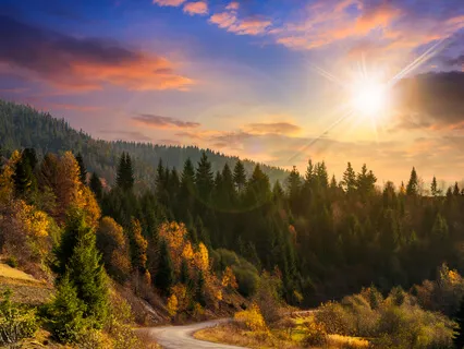 Happy Morning Meditation