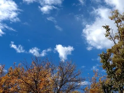 Happy Mother’s Day To My Grands