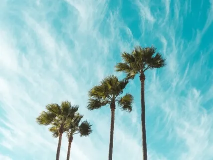 Find Your Happy Place