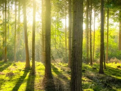 Happy Place Visualization For Confidence Strength & Resilience