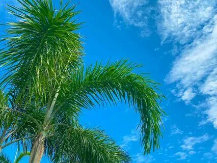 Happy Place Meditation For Deep Relaxation & Calm