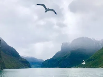 Happy Place Meditation