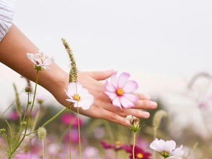 Happy, Relaxed, Successful: A Loving-Kindness Meditation