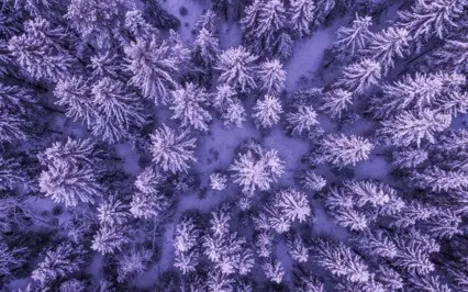 Happy Sleepy Guided Meditation