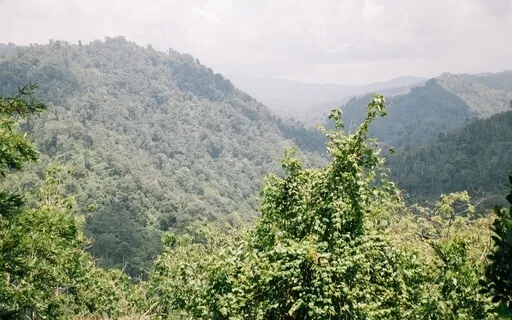 Happy Uplifting Ambient Piano Music - Laughter 