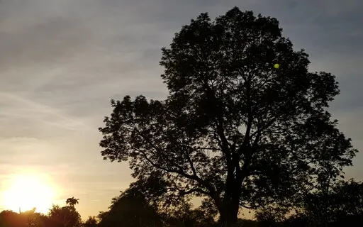 Har Prosperity Mantra Meditation