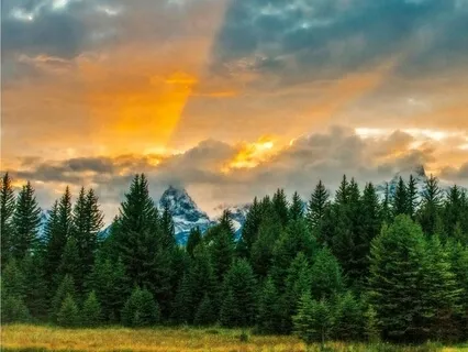 Harboring & Letting Go