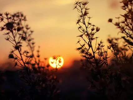 Hard to Say Goodbye | Grief & Gratitude | LoFi Guitar Beats