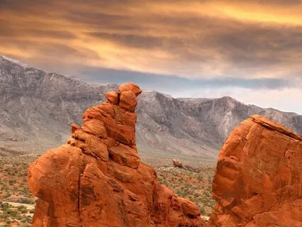 Hard Truths: Your Reality Check