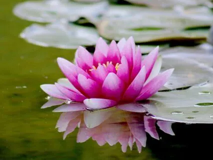 Hare Rama Hare Krishna