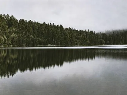 Harmonic Alignment - Chakra Chant