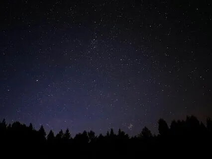 Harmonic Bonds - Relationship Rhapsody