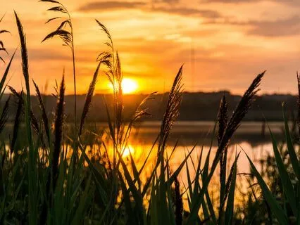 Harmonic Frequency Manifestation Portal (9 Frequency Tones)